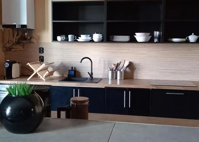 Rembrandt * 克拉科夫